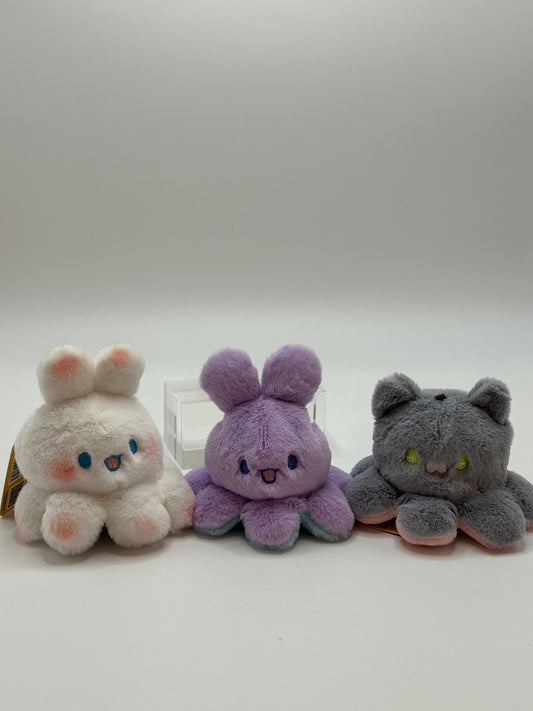 Rabbit  Cat Flip Fun