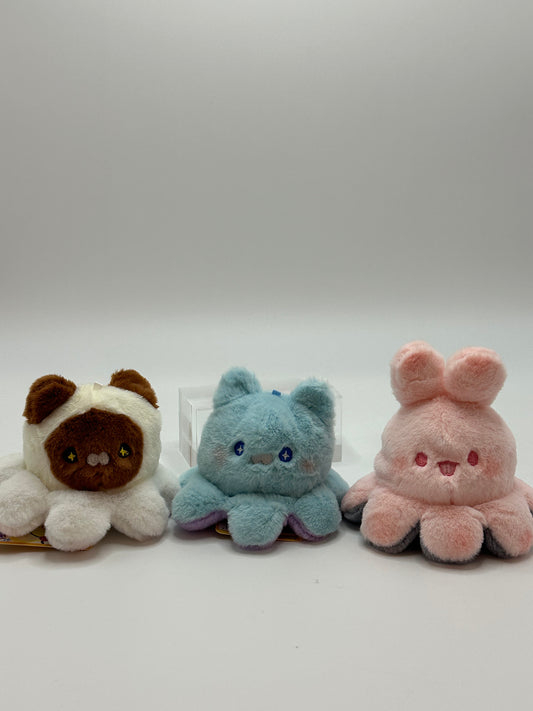 Rabbit  Cat Flip Fun