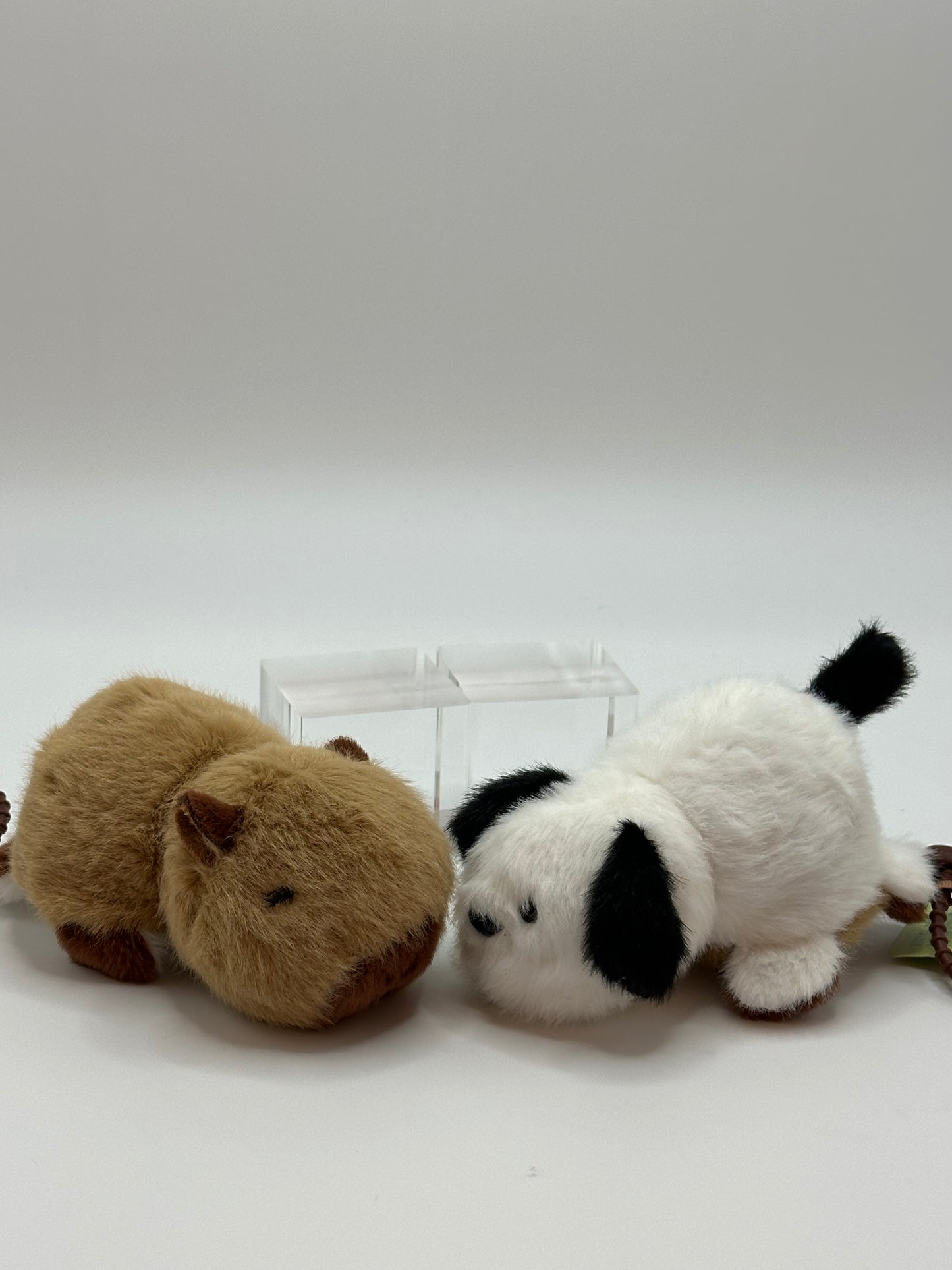 Dog Capybara Flip Flop