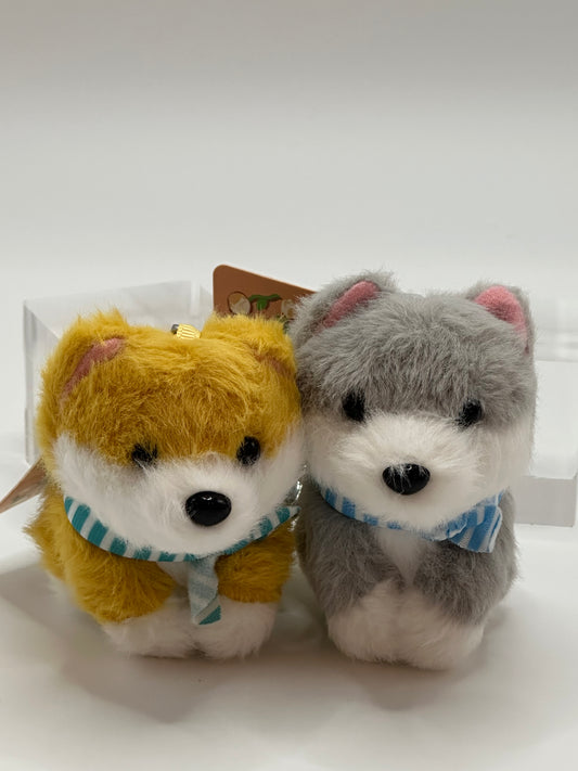 Traveling Shiba Inu