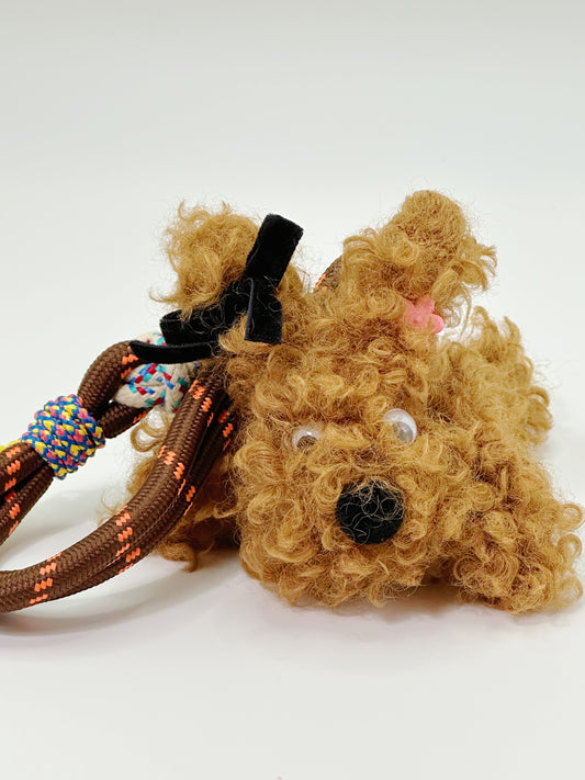 Teddy Puppy