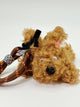 Teddy Puppy