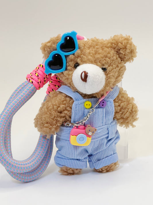 Camera Bear